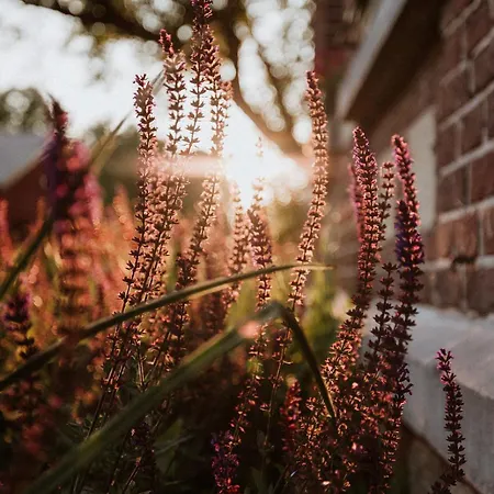 Het Notarishuis - Authentiek Nabij Maastricht Voeren