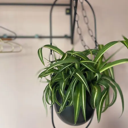 Bed & Breakfast Het Notarishuis - Authentiek Nabij Maastricht 4*