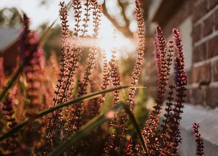Het Notarishuis - Authentiek Nabij Maastricht Fourons